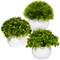 Artificial Potted Plants Mini Faux Greenery in Small White Pots for Home Decor Indoor Office Table Decoration, 3-Pack